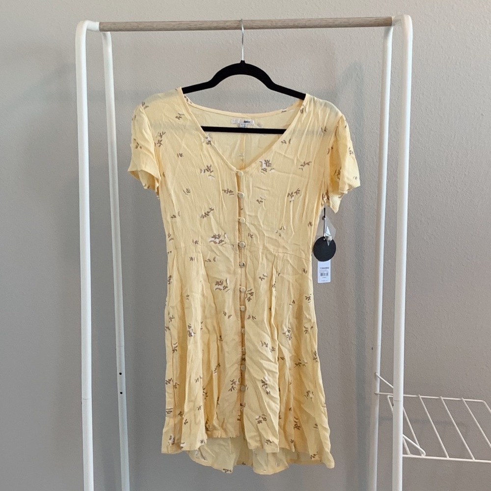 “amuse society” dress